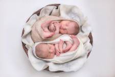 Alice BARRA - BARRHAUSS